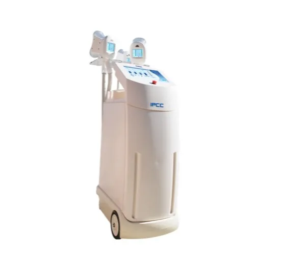 Pmise CR-01 Cryolipolysis Fat Freezing